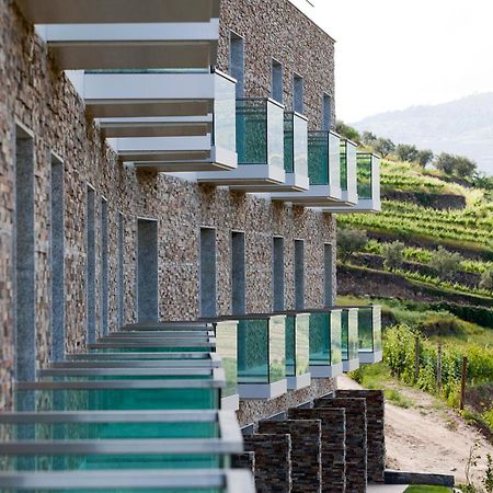 Delfim Douro Hotel Lamego Ngoại thất bức ảnh