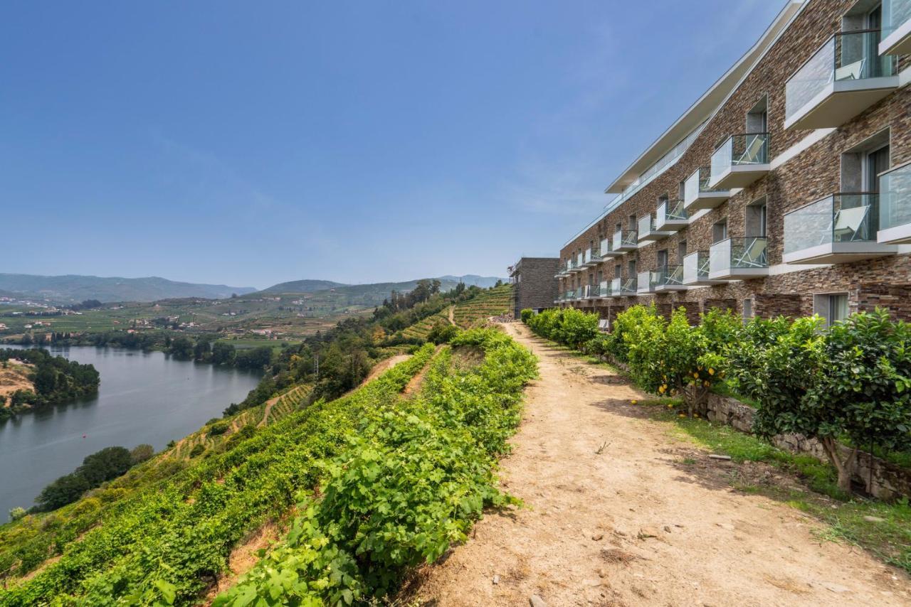Delfim Douro Hotel Lamego Ngoại thất bức ảnh