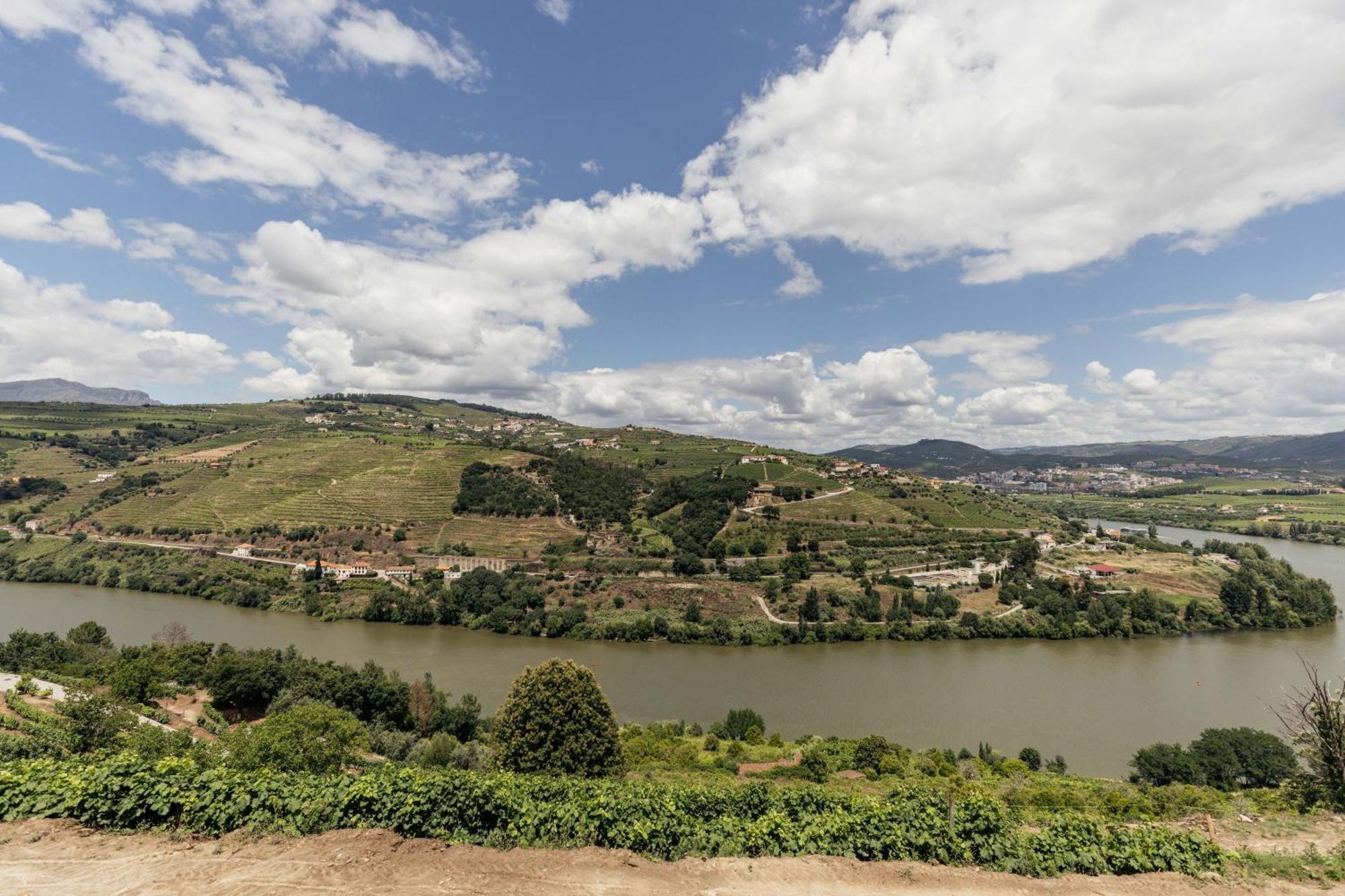 Delfim Douro Hotel Lamego Ngoại thất bức ảnh