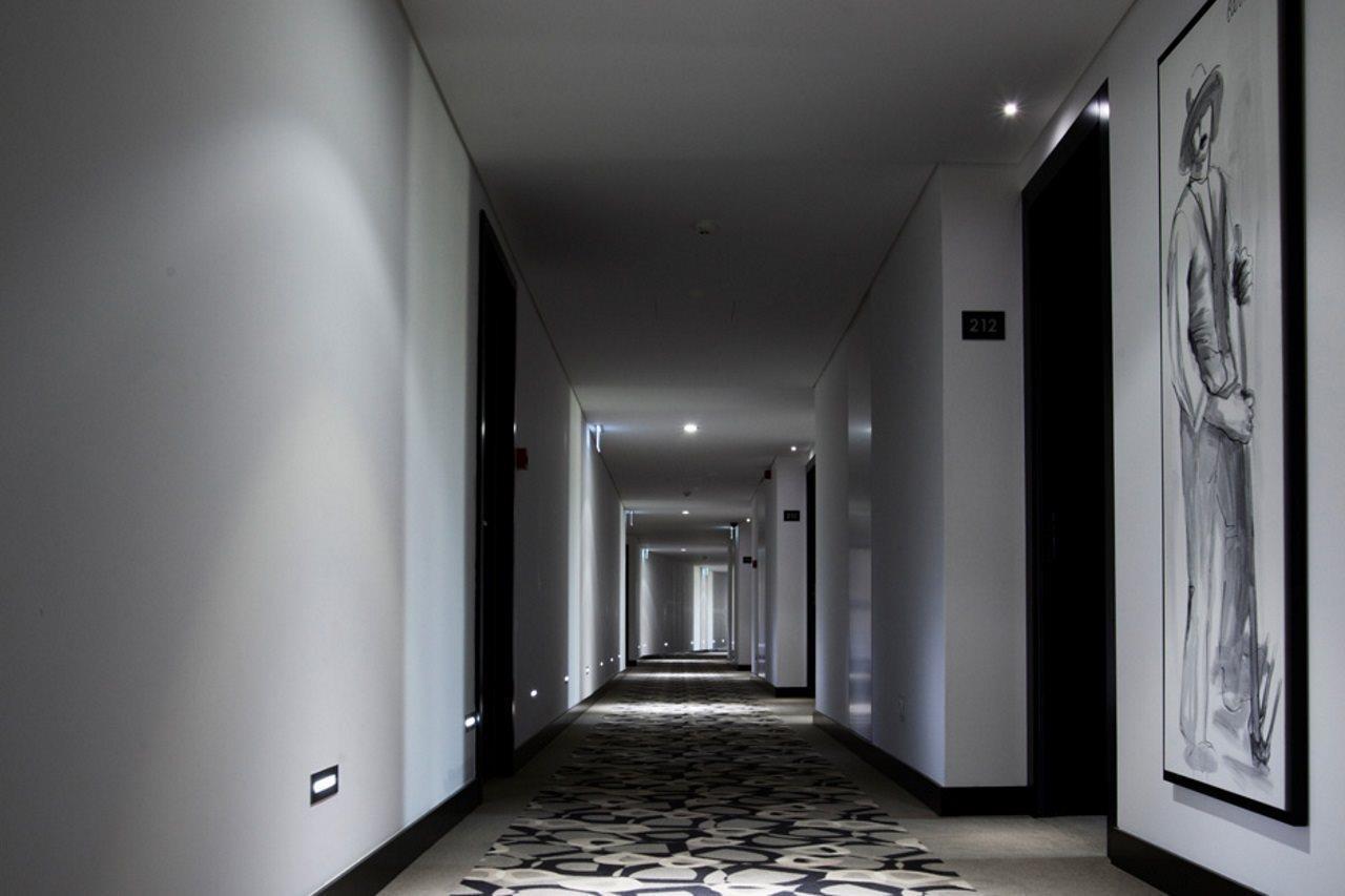 Delfim Douro Hotel Lamego Nội địa bức ảnh