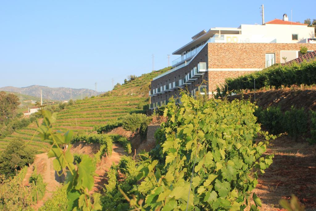 Delfim Douro Hotel Lamego Ngoại thất bức ảnh